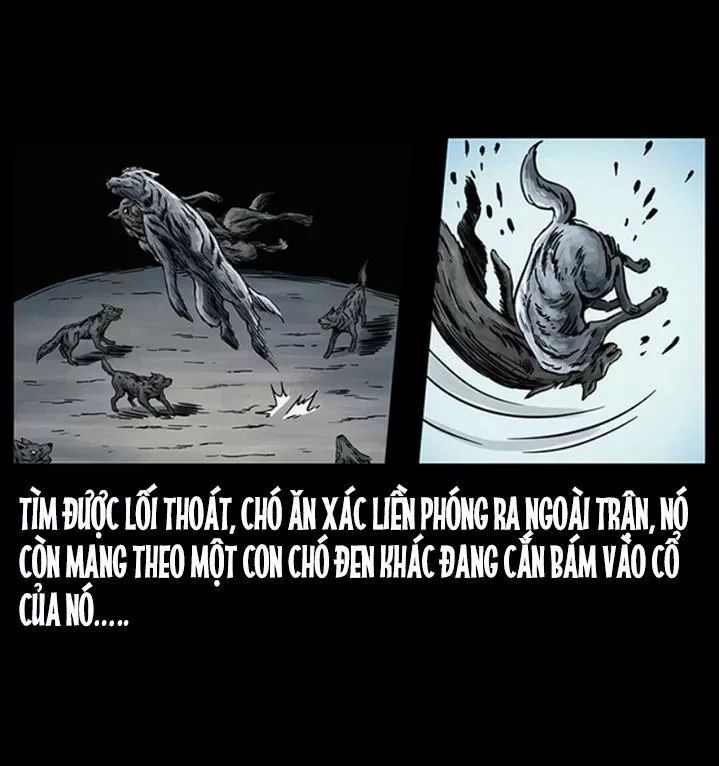 U Minh Ngụy Tượng Chapter 255 - Trang 2