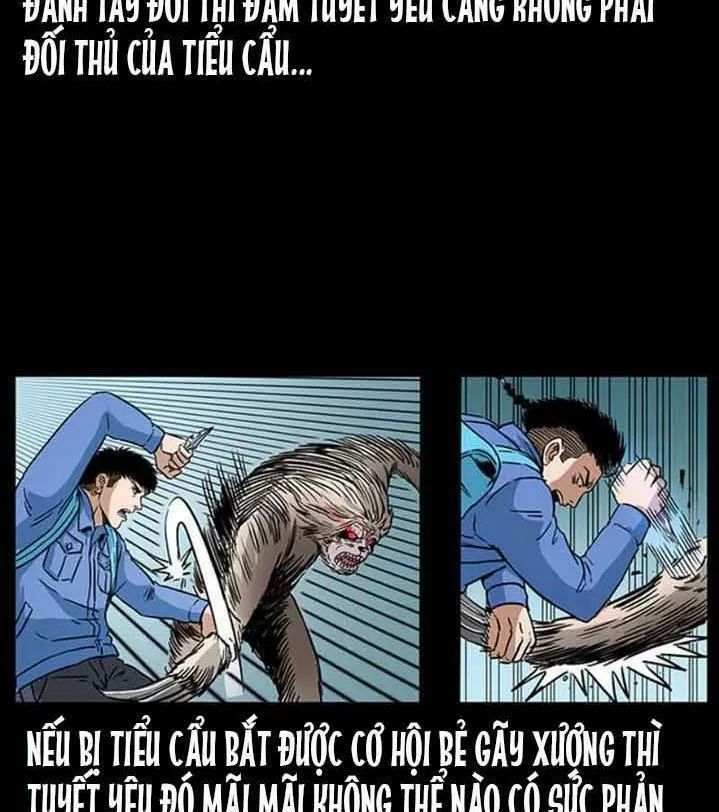 U Minh Ngụy Tượng Chapter 277 - Trang 2