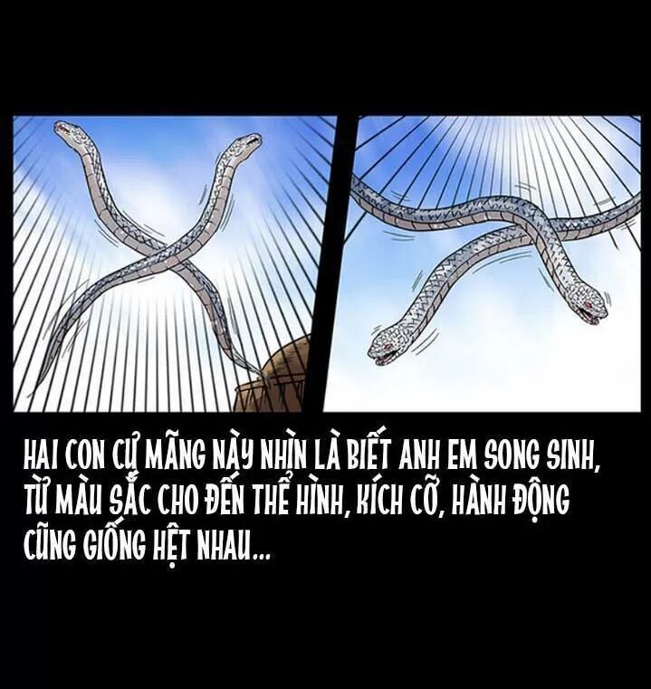 U Minh Ngụy Tượng Chapter 286 - Trang 2