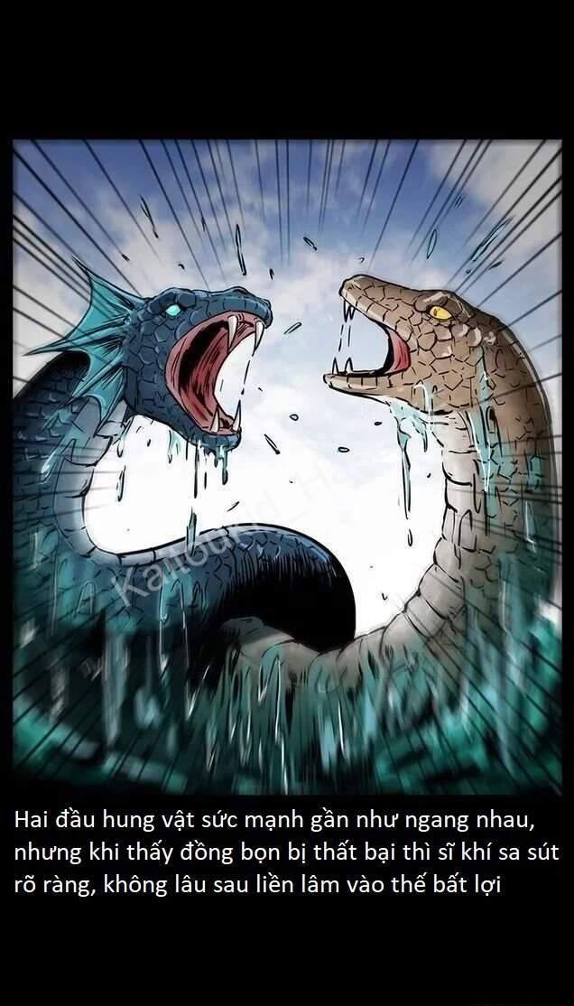 U Minh Ngụy Tượng Chapter 289 - Trang 2