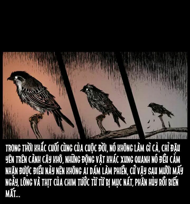 U Minh Ngụy Tượng Chapter 38 - Trang 2