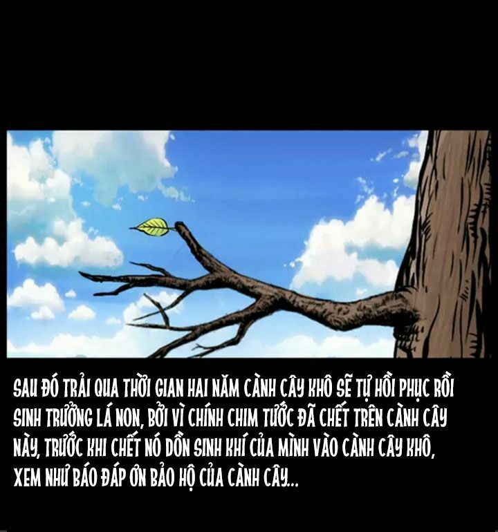 U Minh Ngụy Tượng Chapter 38 - Trang 2