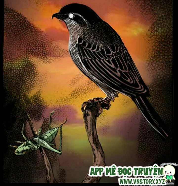 U Minh Ngụy Tượng Chapter 38 - Trang 2