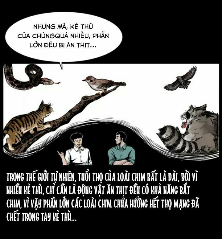 U Minh Ngụy Tượng Chapter 38 - Trang 2