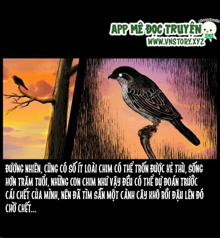 U Minh Ngụy Tượng Chapter 38 - Trang 2