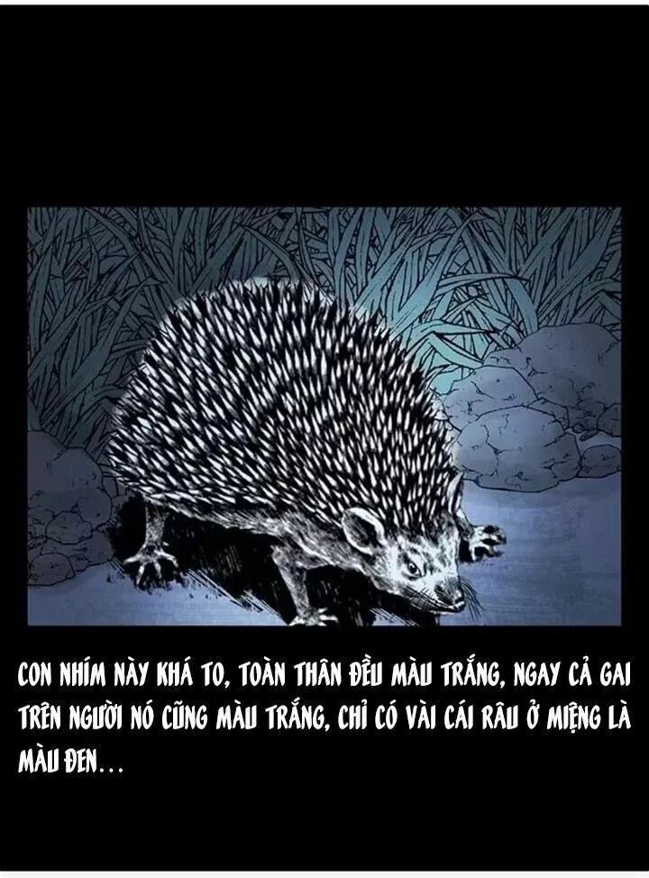 U Minh Ngụy Tượng Chapter 79 - Trang 2