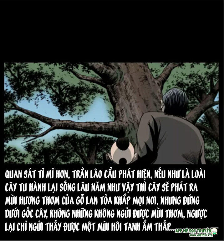 U Minh Ngụy Tượng Chapter 8 - Trang 2