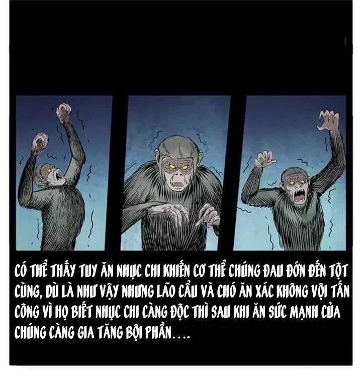 U Minh Ngụy Tượng Chapter 85 - Trang 2