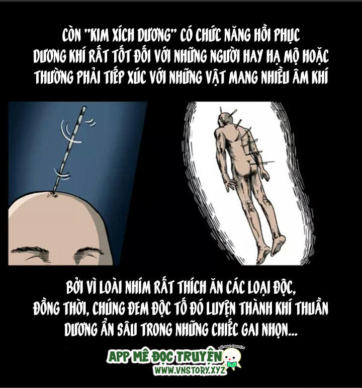 U Minh Ngụy Tượng Chapter 9 - Trang 2