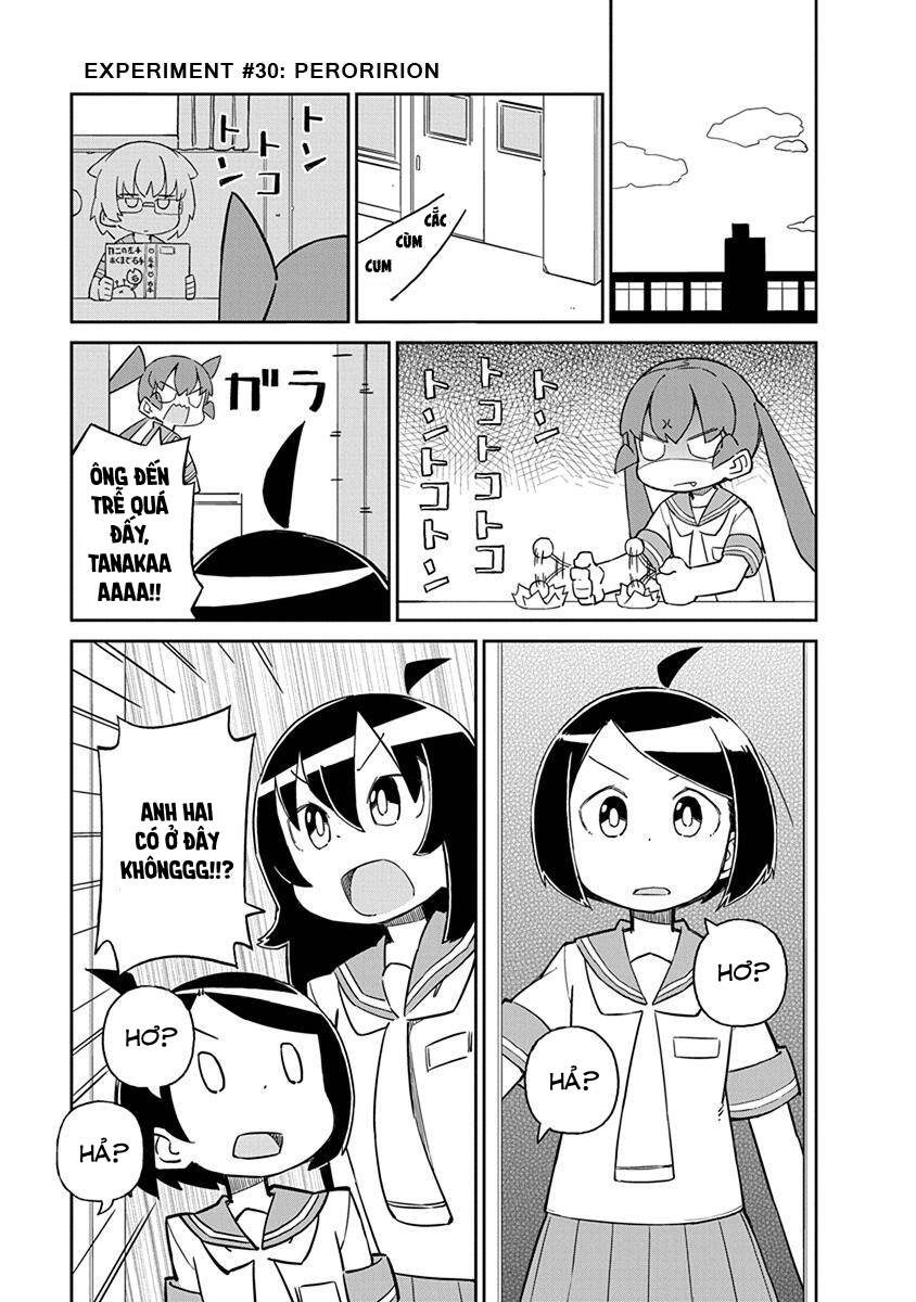 Ueno-San Wa Bukiyou Chapter 29 - Trang 2