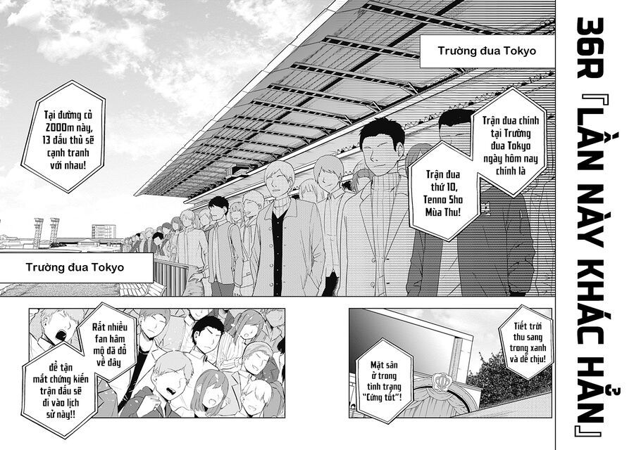 Uma Musume: Cinderella Gray Chapter 36 - Trang 2