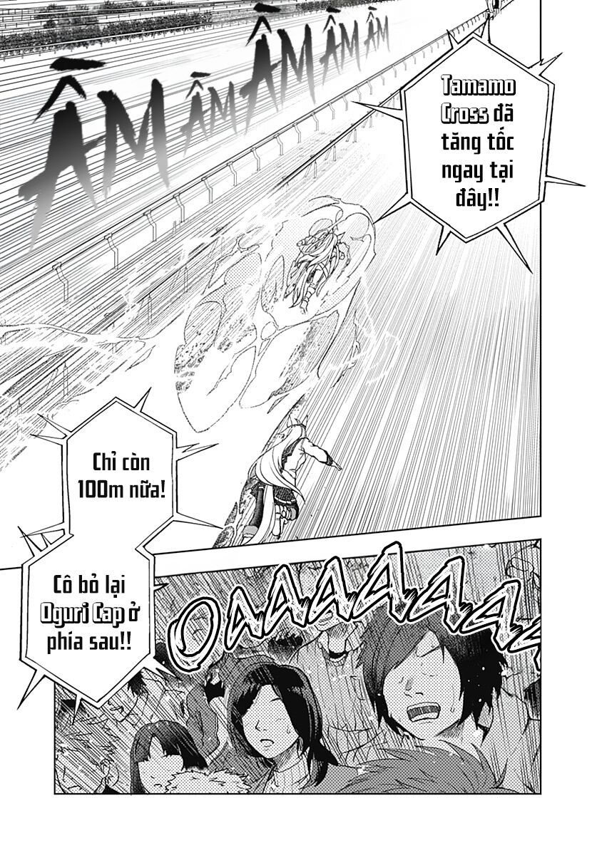 Uma Musume: Cinderella Gray Chapter 42 - Trang 2