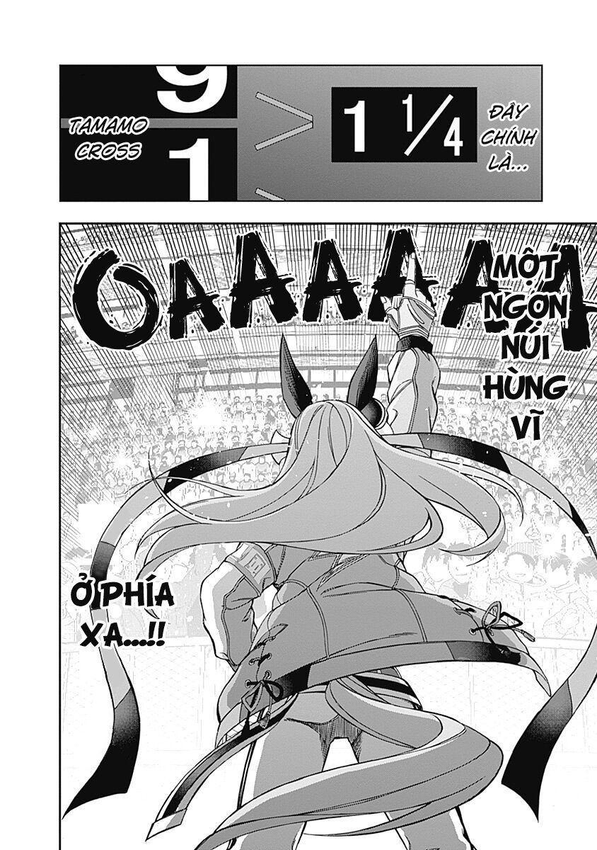 Uma Musume: Cinderella Gray Chapter 43 - Trang 2