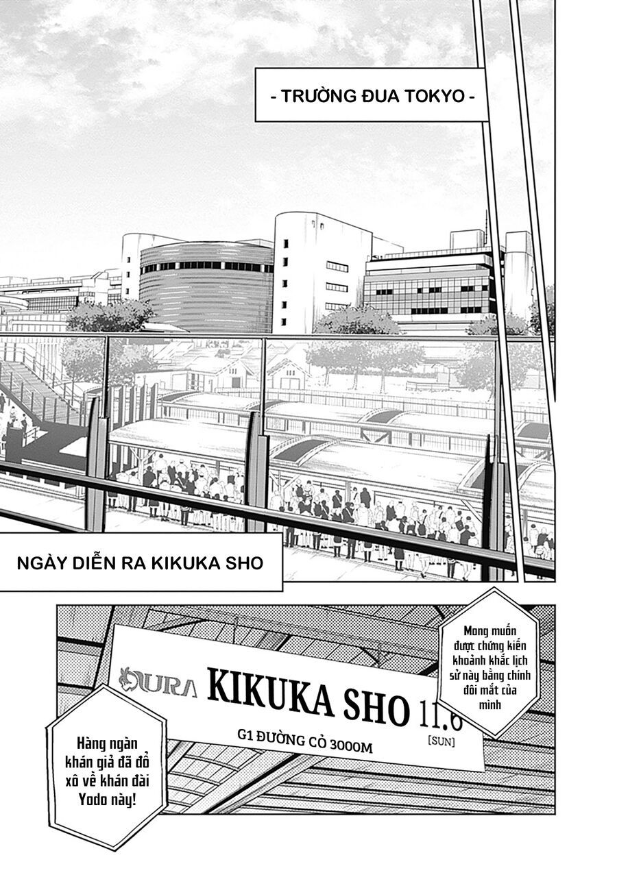 Uma Musume: Cinderella Gray Chapter 45 - Trang 2