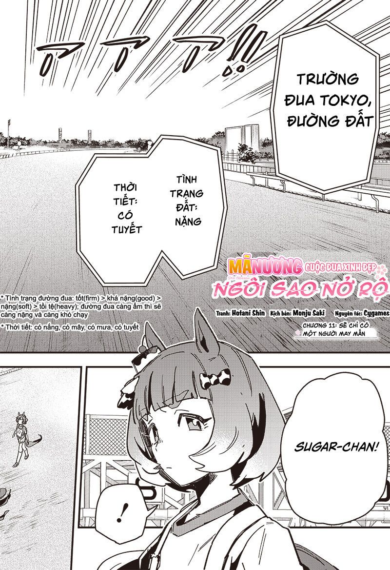 Uma Musume: Pretty Derby – Star Blossom Chapter 11 - Trang 2