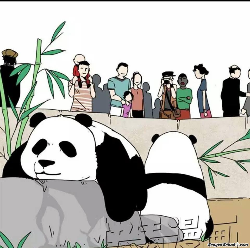 Ứng Dụng Thẩm Mỹ Chapter 6 - Trang 2