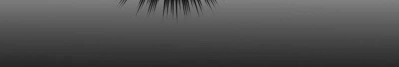 Unordinary Chapter 242 - Trang 2