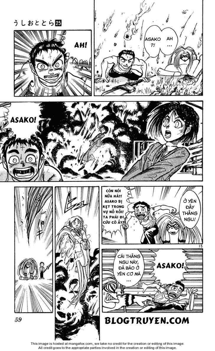 Ushio And Tora Chapter 231 - Trang 2