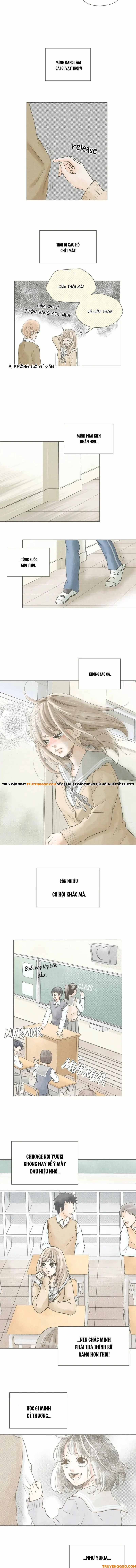 Uso Ni Mo Koi Ga Iru Chapter 11 - Trang 2