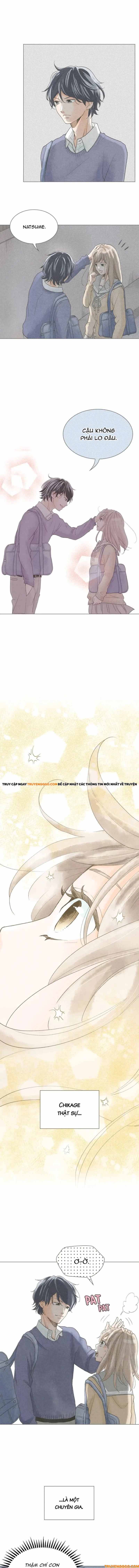 Uso Ni Mo Koi Ga Iru Chapter 13 - Trang 2