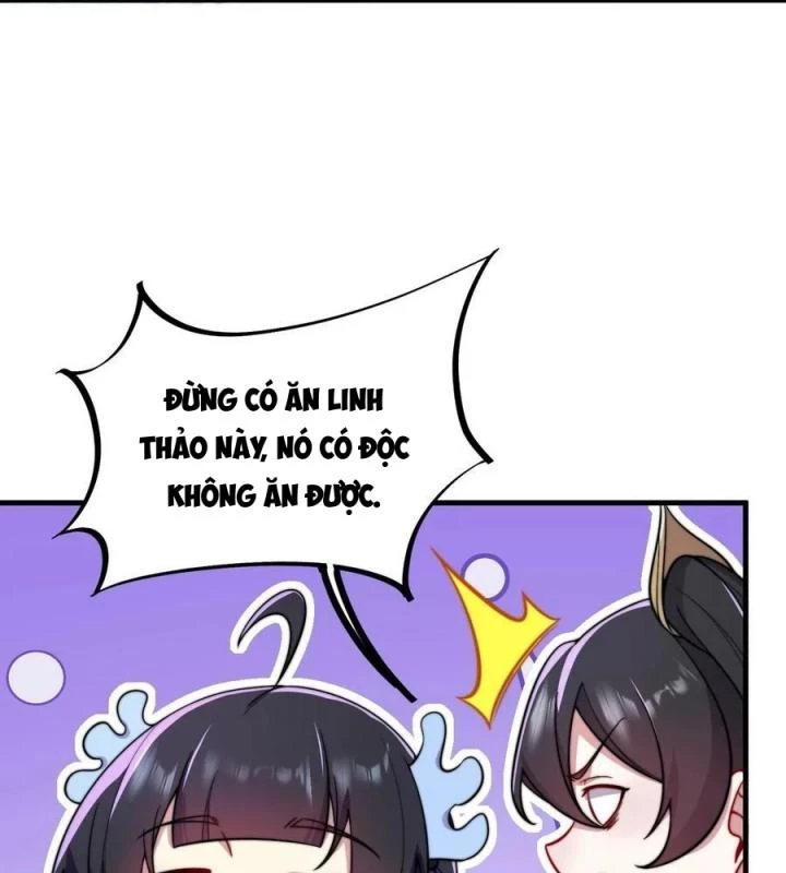 Vai Ác Sư Tôn Mang Theo Các Đồ Đệ Vô Địch Thiên Hạ Chapter 29 - Trang 2