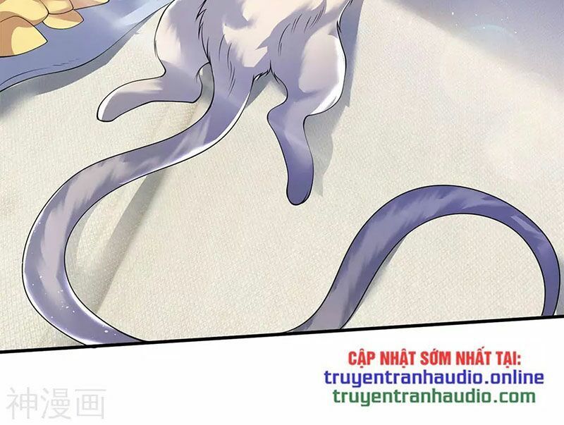 Vạn Cổ Thần Vương Chapter 204 - Trang 2