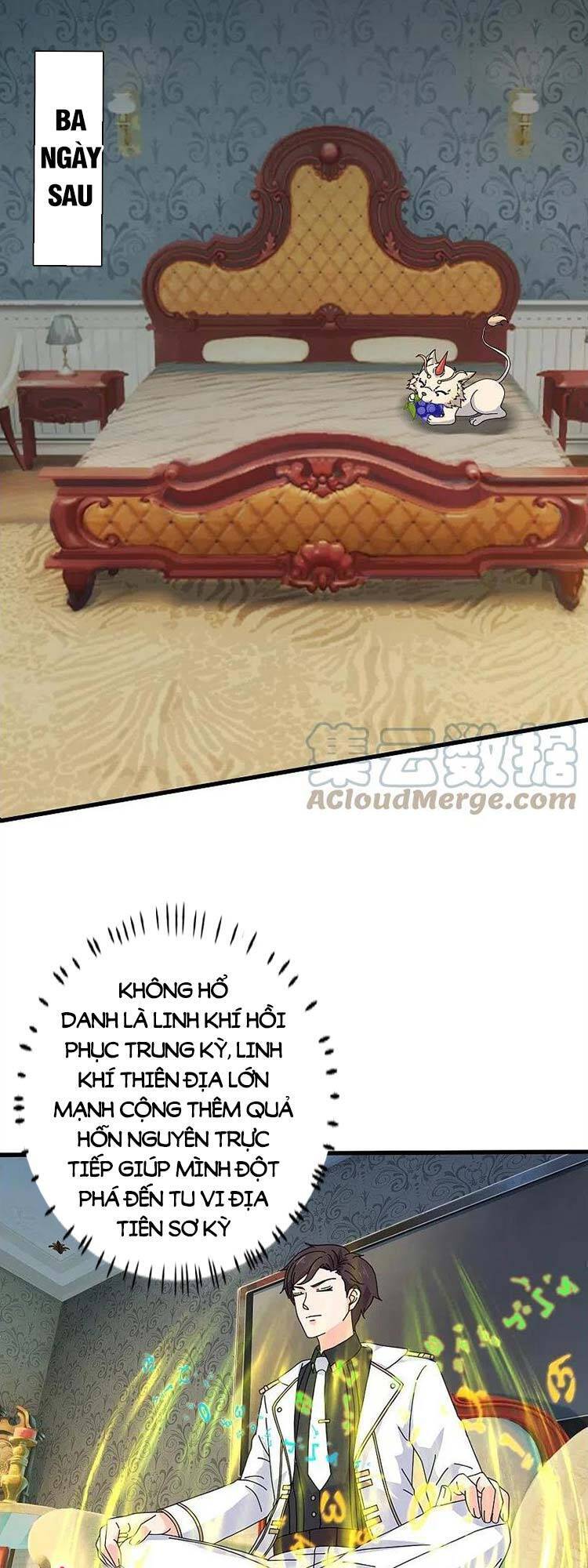 Vạn Cổ Thần Vương Chapter 384 - Trang 2