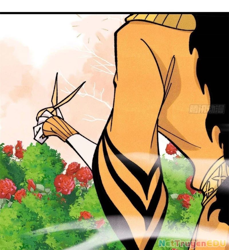 Vạn Cổ Tối Cường Tông Chapter 398.1 - Trang 2