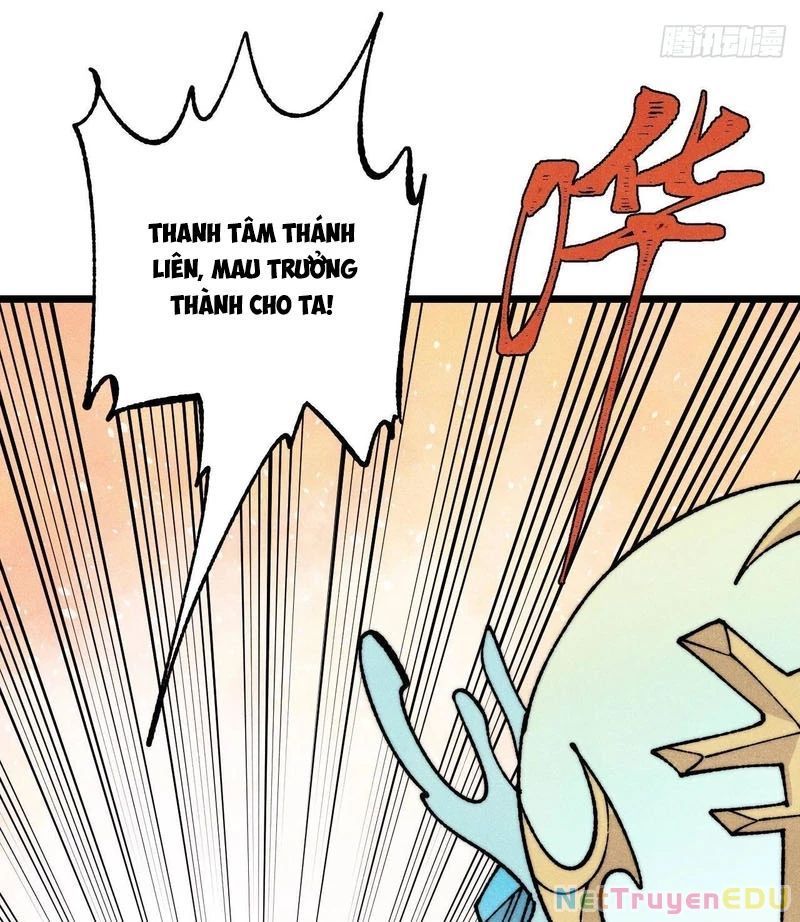 Vạn Cổ Tối Cường Tông Chapter 399.2 - Trang 2