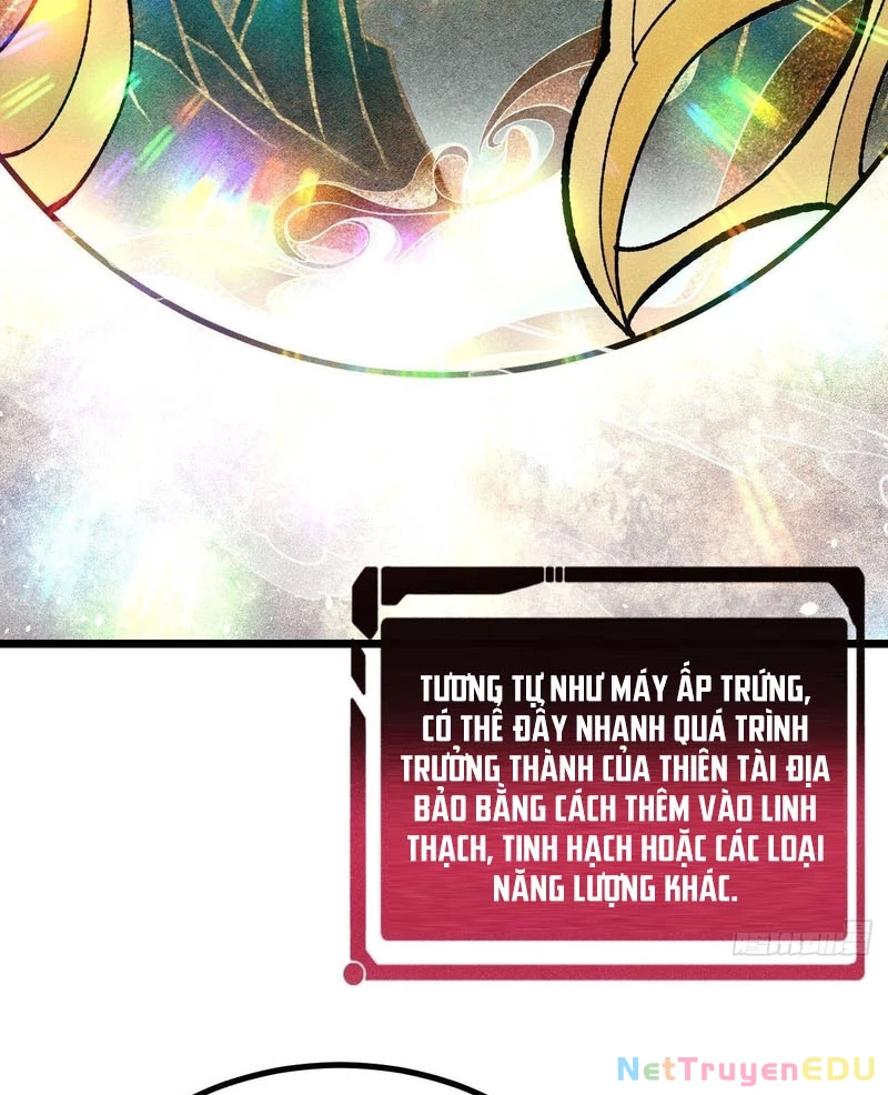 Vạn Cổ Tối Cường Tông Chapter 399 - Trang 2