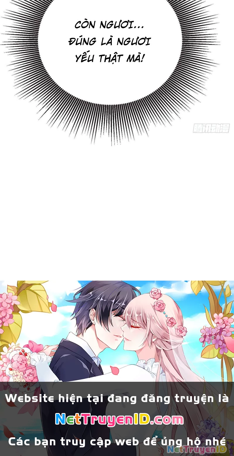 Vạn Cổ Tối Cường Tông Chapter 401 - Trang 2