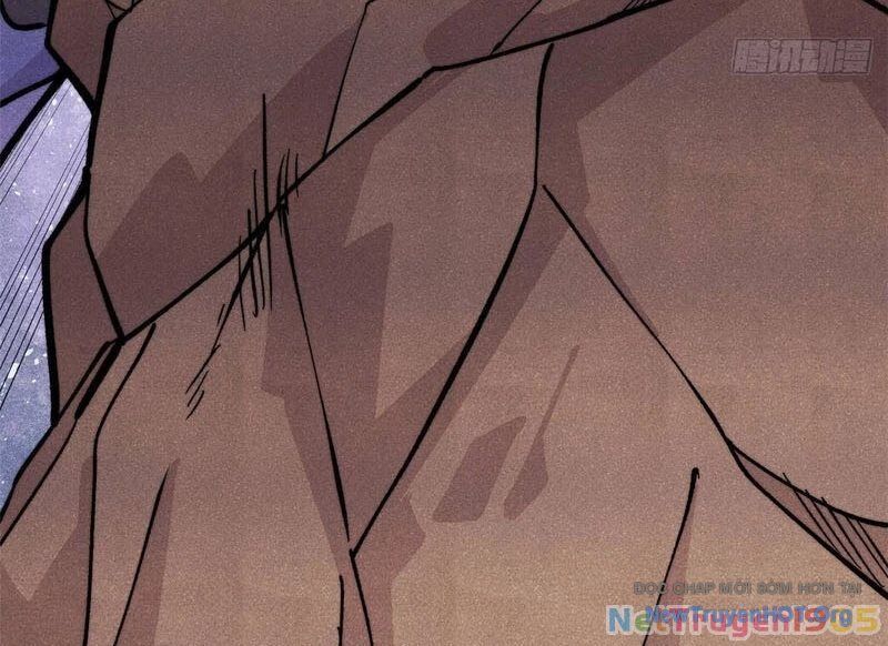 Vạn Cổ Tối Cường Tông Chapter 428.5 - Trang 2