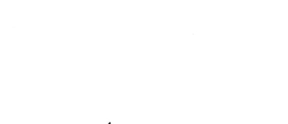 Vận May Bất Ngờ Chapter 41.1 - Trang 2