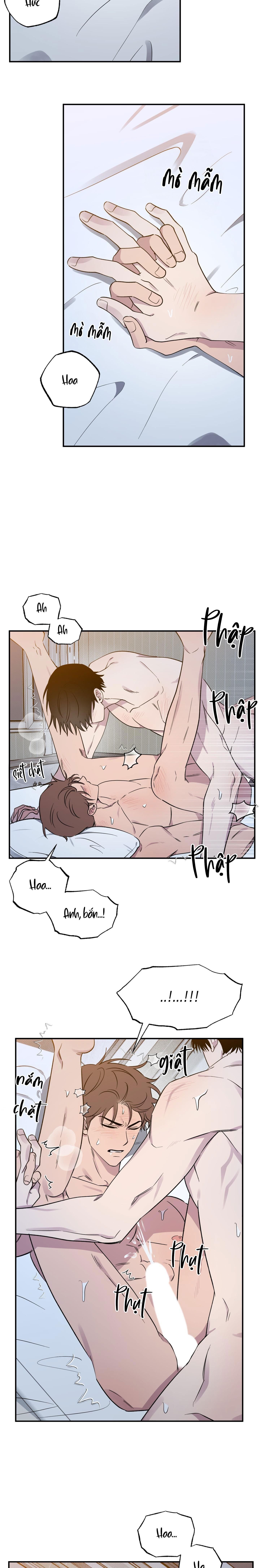 Vận May Không Ngờ Chapter 45 - Trang 2