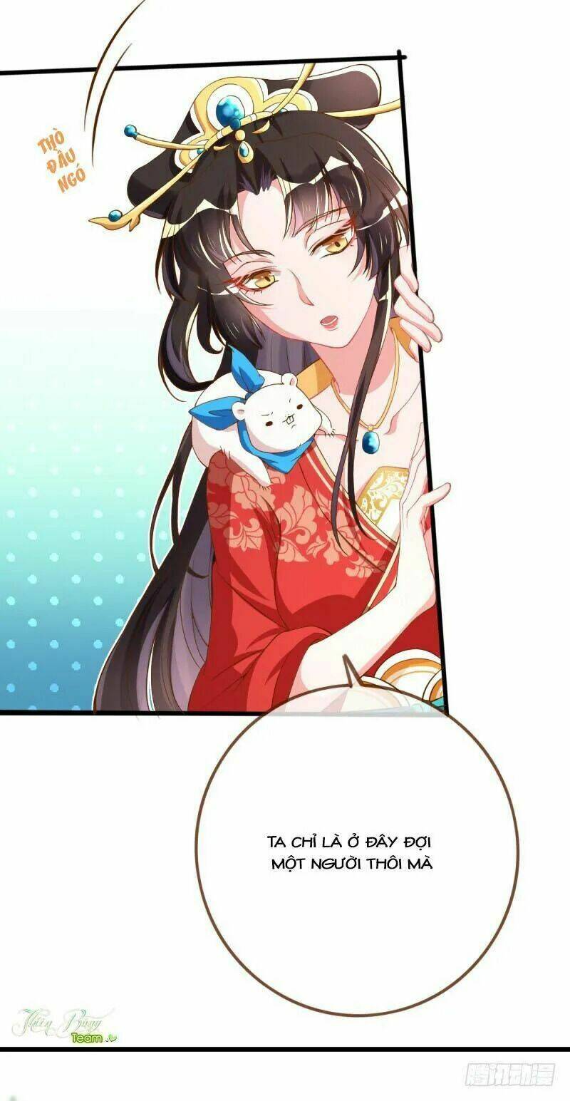 Vạn Tra Triêu Hoàng Chapter 11 - Trang 2