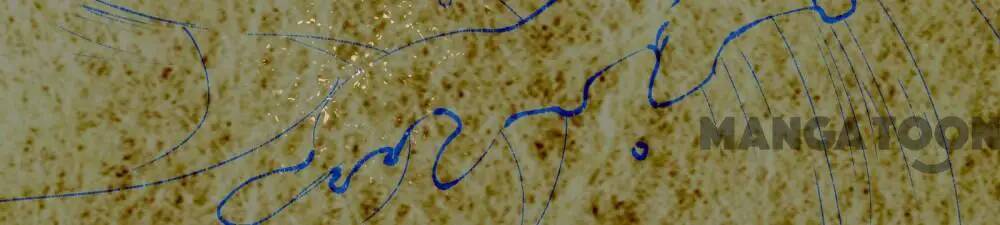 Vạn Tra Triêu Hoàng Chapter 243 - Trang 2