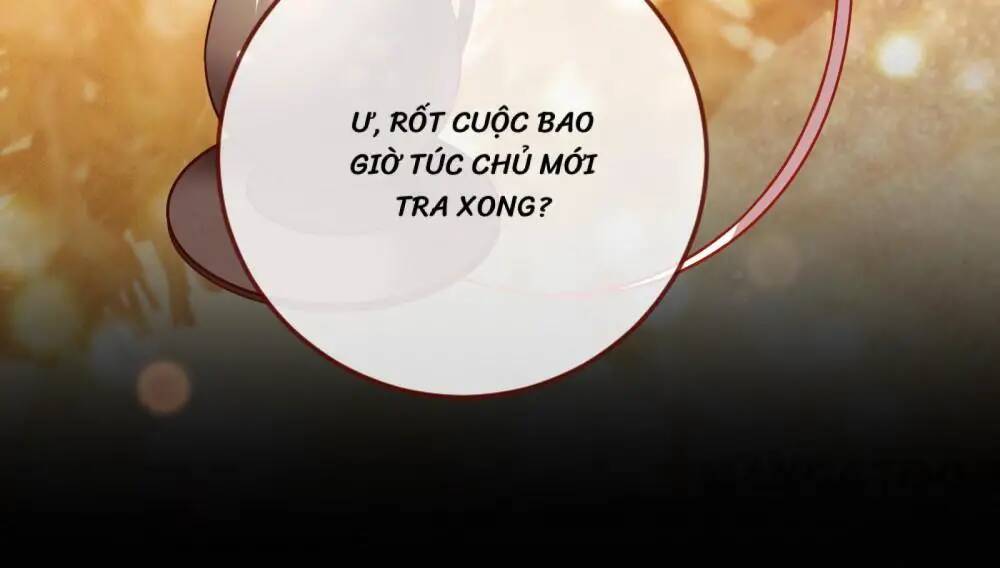 Vạn Tra Triêu Hoàng Chapter 255 - Trang 2