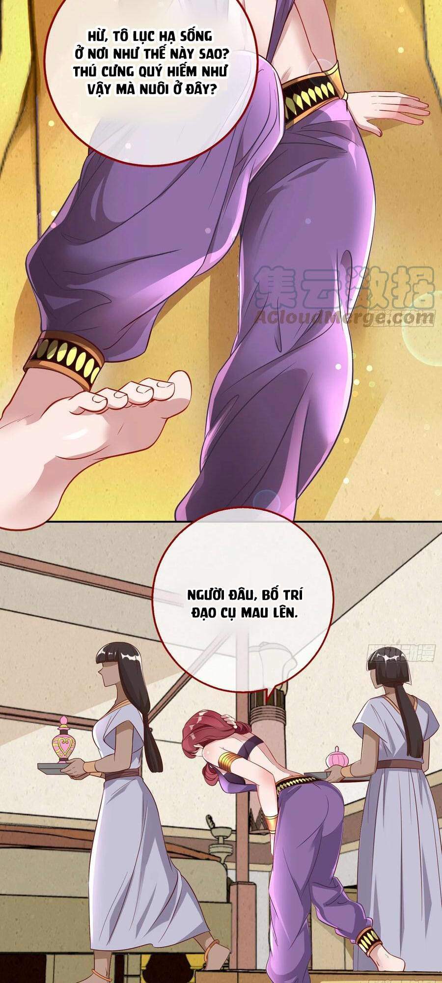 Vạn Tra Triêu Hoàng Chapter 524 - Trang 2