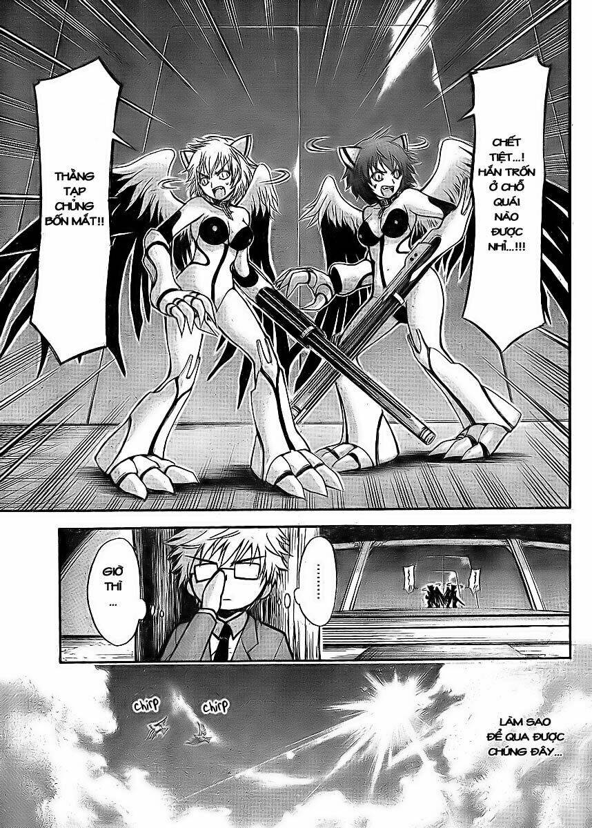 Vật Thất Lạc Của Bầu Trời Chapter 38 - Trang 2