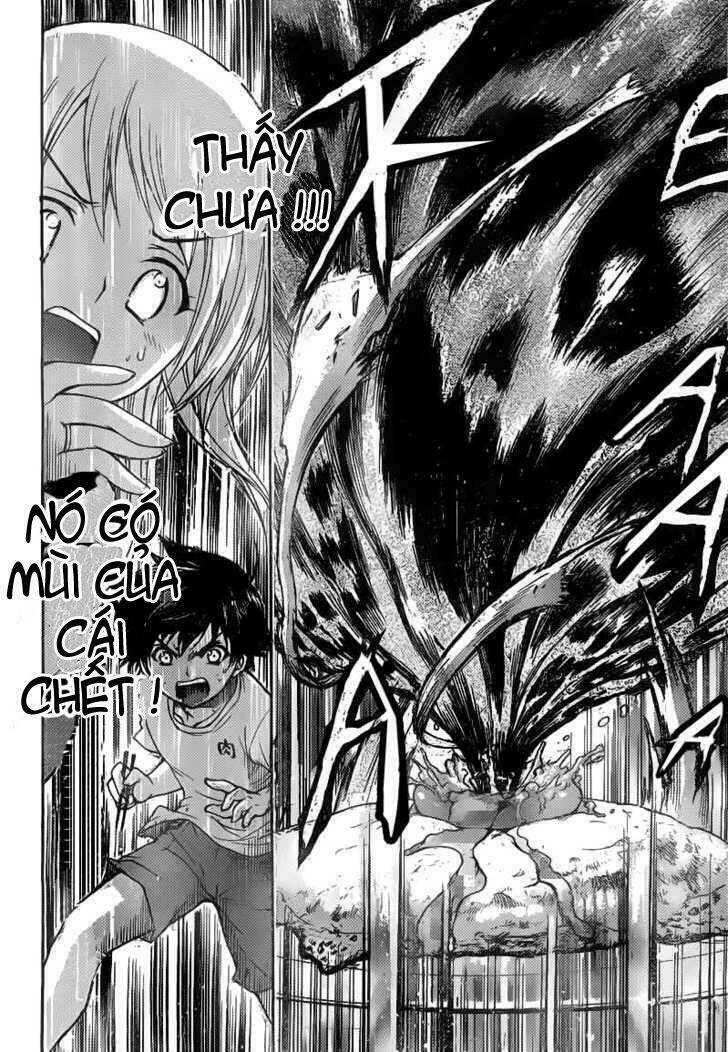 Vật Thất Lạc Của Bầu Trời Chapter 41 - Trang 2