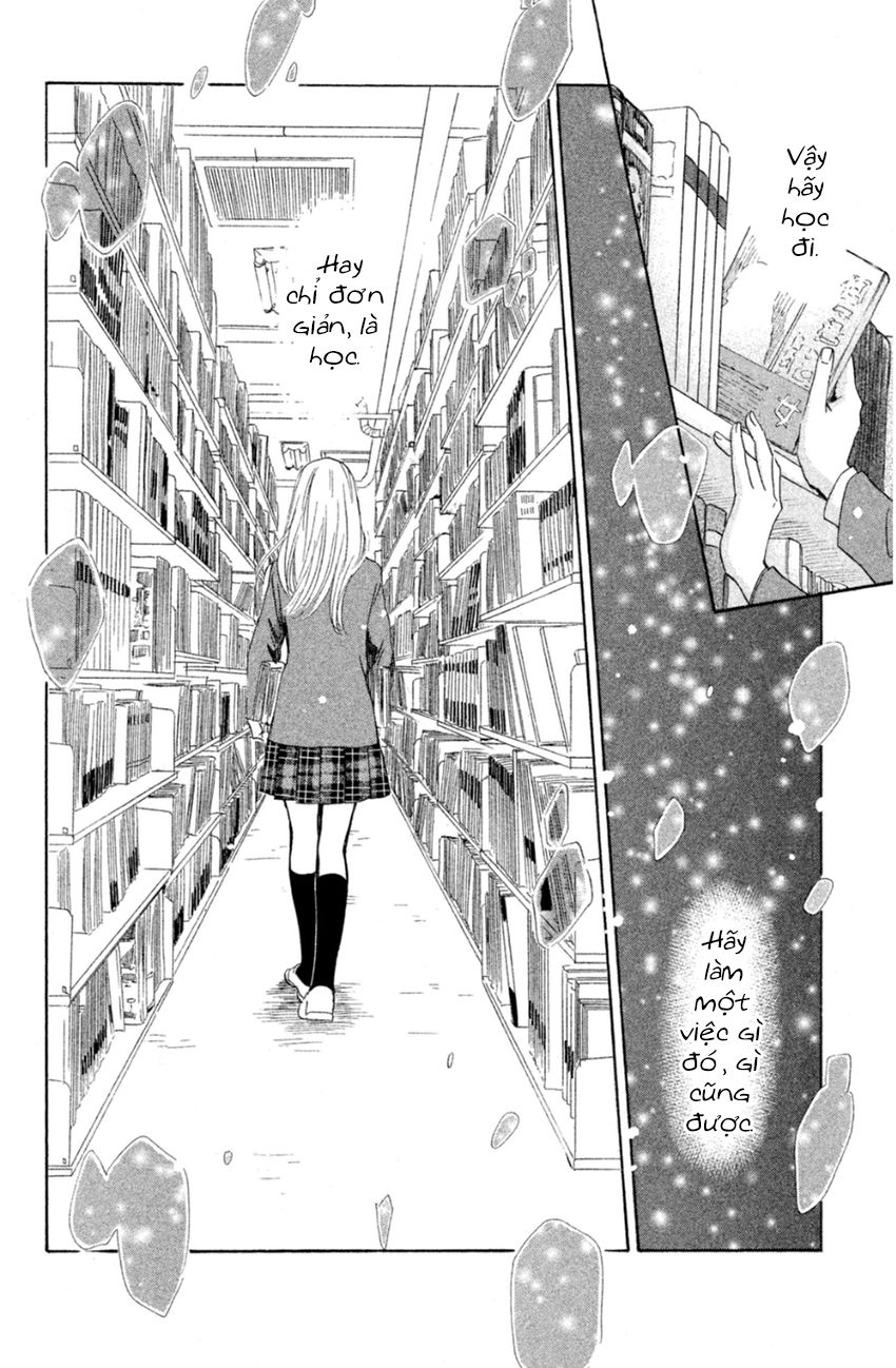 Vẻ Đẹp Qua Những Lá Bài Chapter 140 - Trang 2