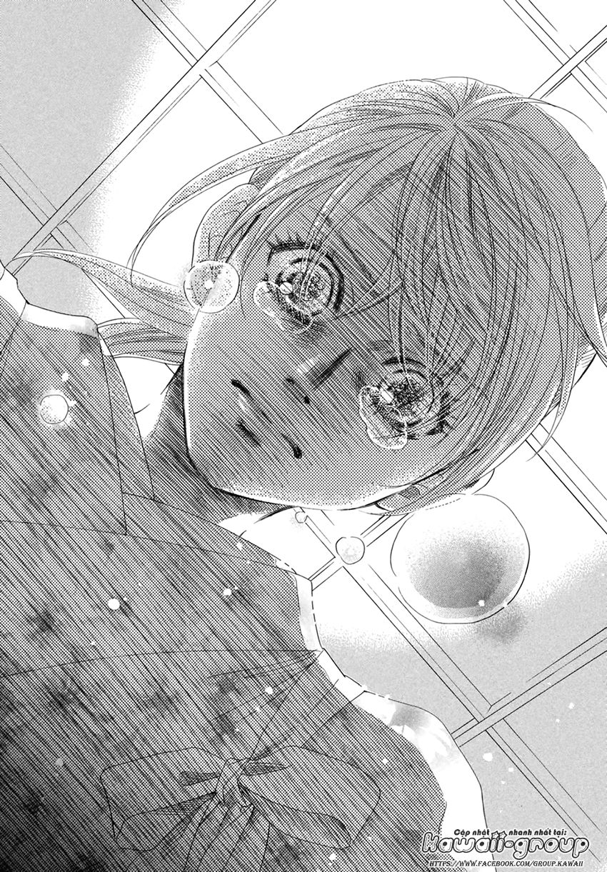 Vẻ Đẹp Qua Những Lá Bài Chapter 152 - Trang 2