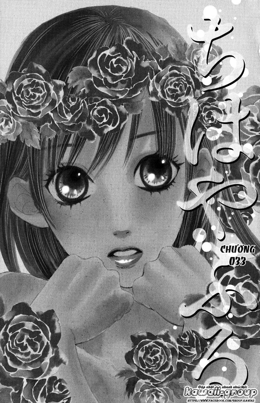 Vẻ Đẹp Qua Những Lá Bài Chapter 33 - Trang 2