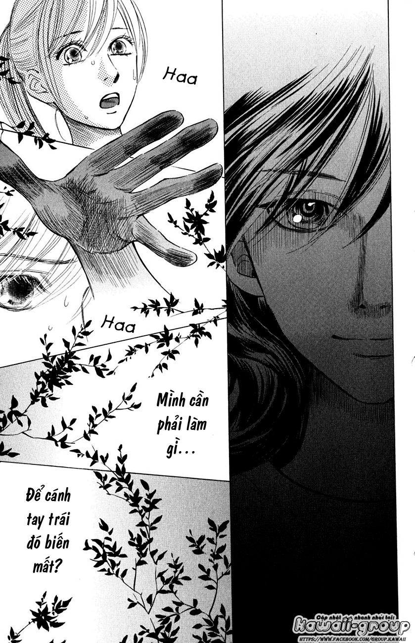 Vẻ Đẹp Qua Những Lá Bài Chapter 35 - Trang 2