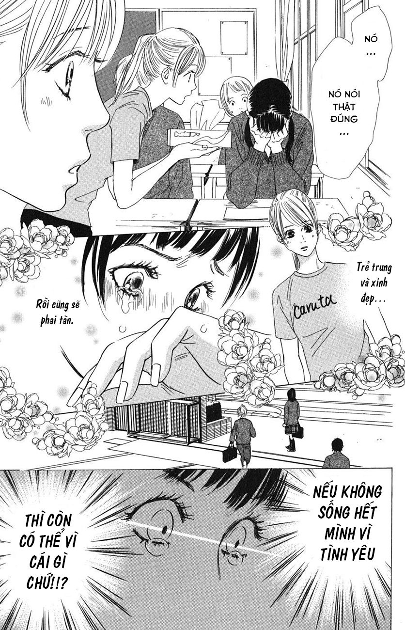Vẻ Đẹp Qua Những Lá Bài Chapter 51 - Trang 2