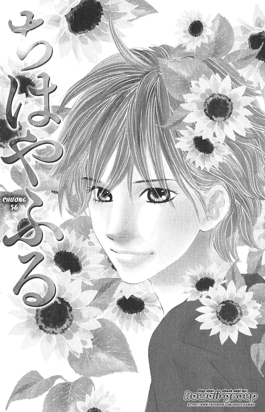 Vẻ Đẹp Qua Những Lá Bài Chapter 56 - Trang 2