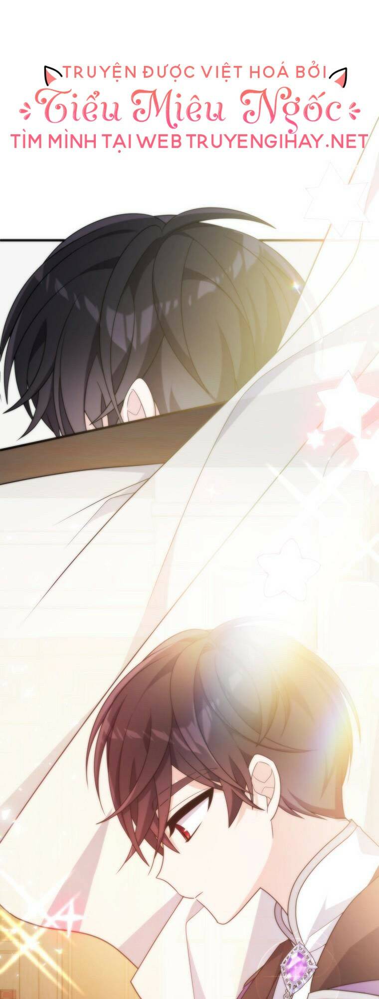 Vì Anh Trai Tôi Sẽ Quyến Rũ Nam Chính Chapter 12 - Trang 2