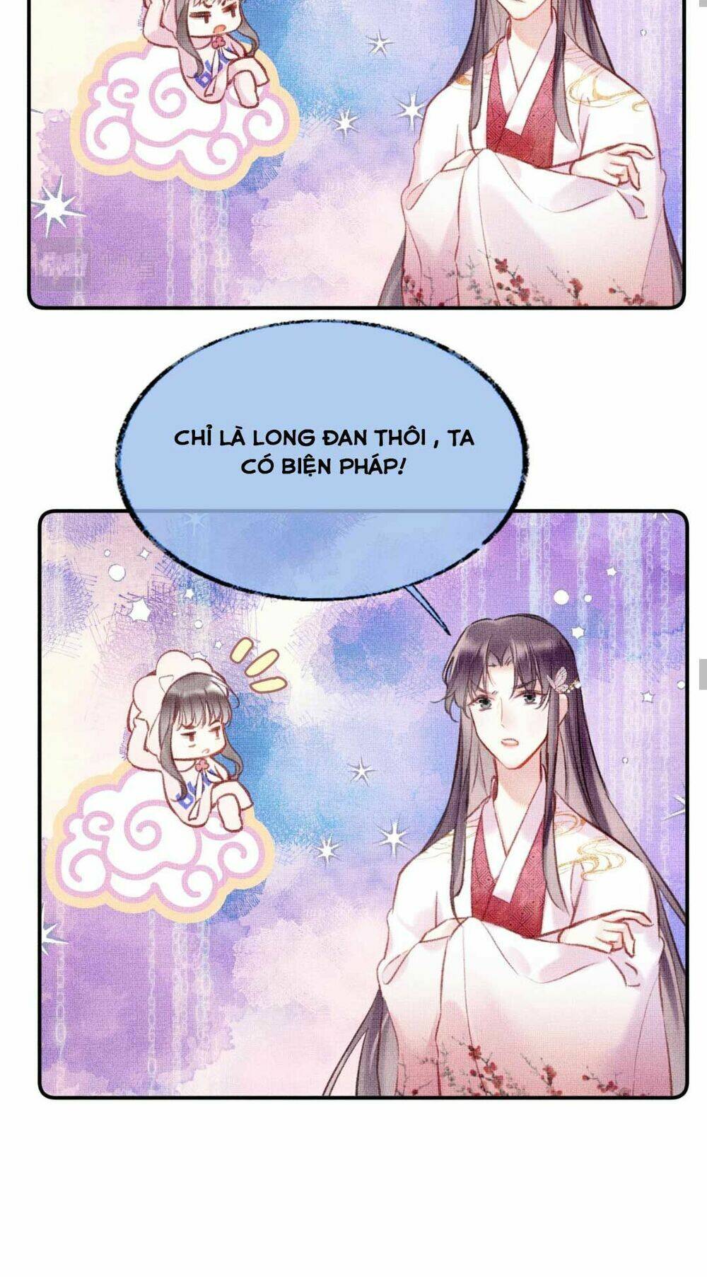 Vi Phu Từng Là Long Ngạo Thiên Chapter 4 - Trang 2