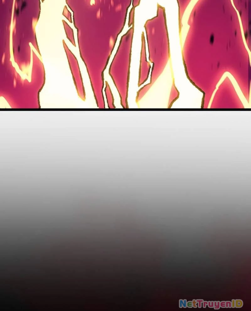 Vị Vua Mạnh Nhất Đã Trở Lại Chapter 115 - Trang 2