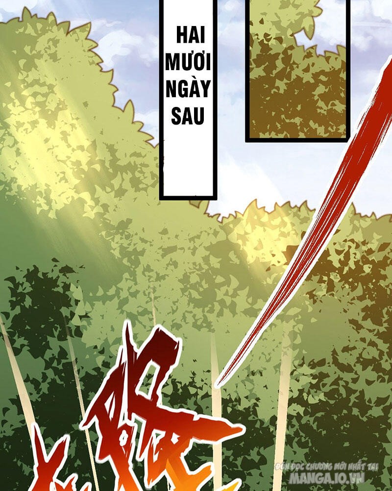 Vĩnh Sinh Chapter 15 - Trang 2